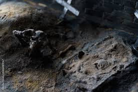 葬儀（お葬式）・家族葬・元警察官・現僧侶・1日葬葬儀・一般葬葬儀・直葬（火葬式）葬儀・火葬